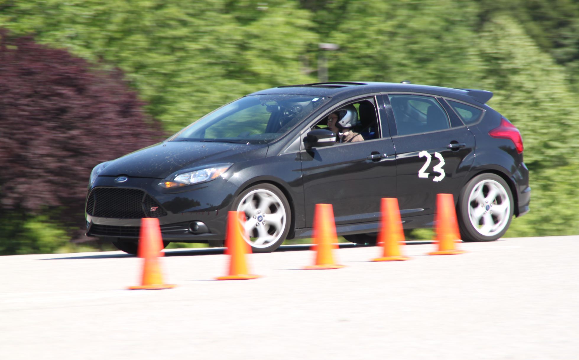 Profile of Scott Saxman