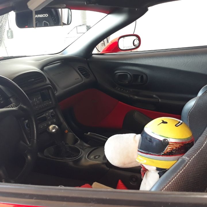 Profile of Ralf Jerger