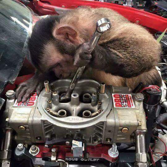 Profile of Chuck Marsh