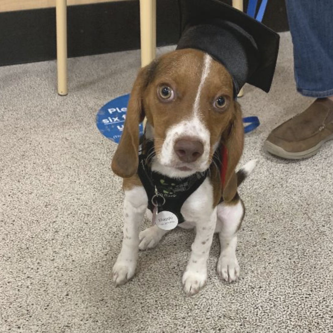 Profile of Ken Battan