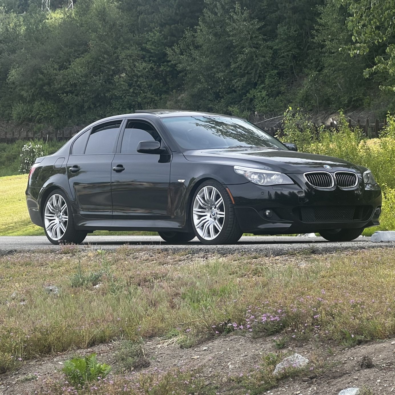 Profile of Todd Pocock