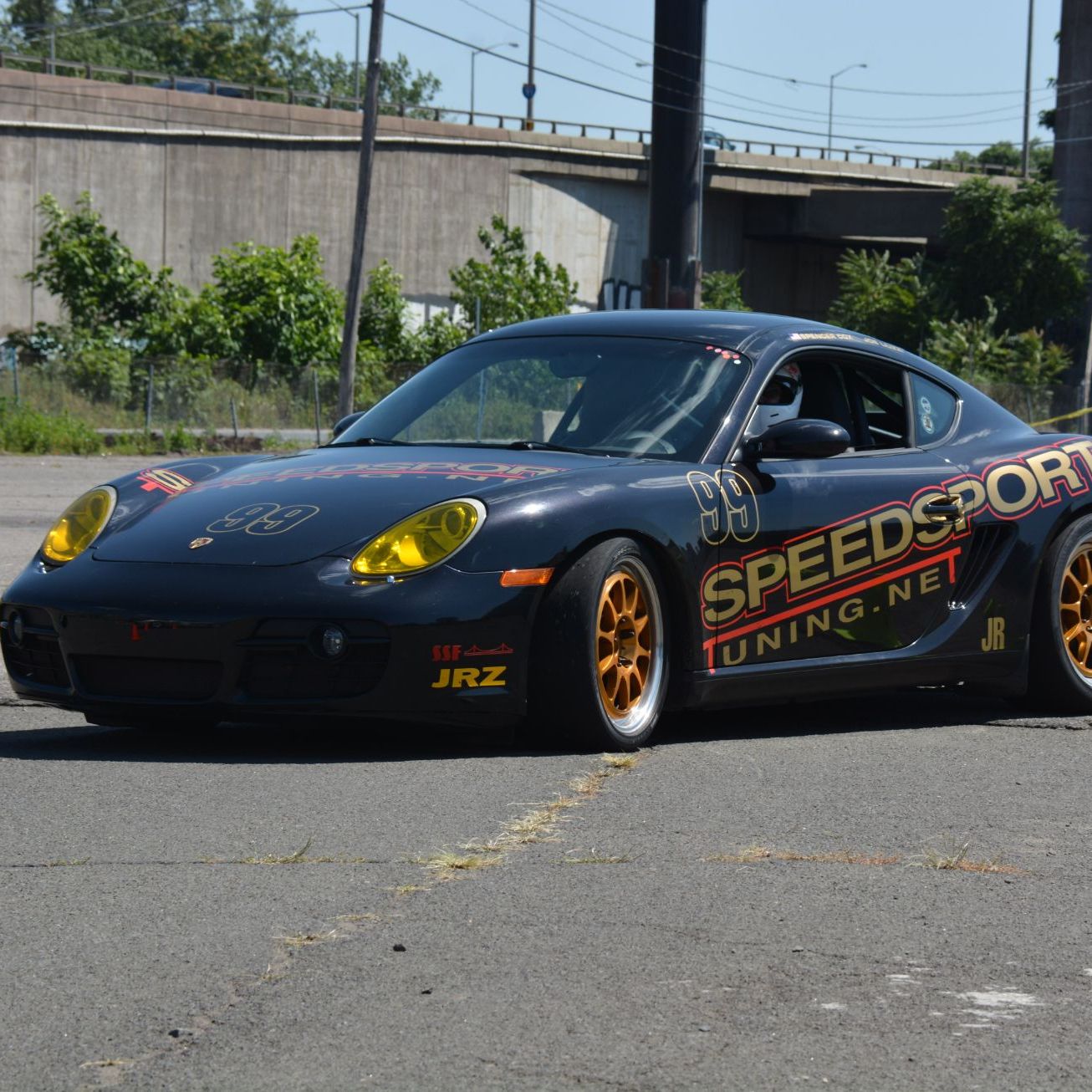 Profile of David Carlson