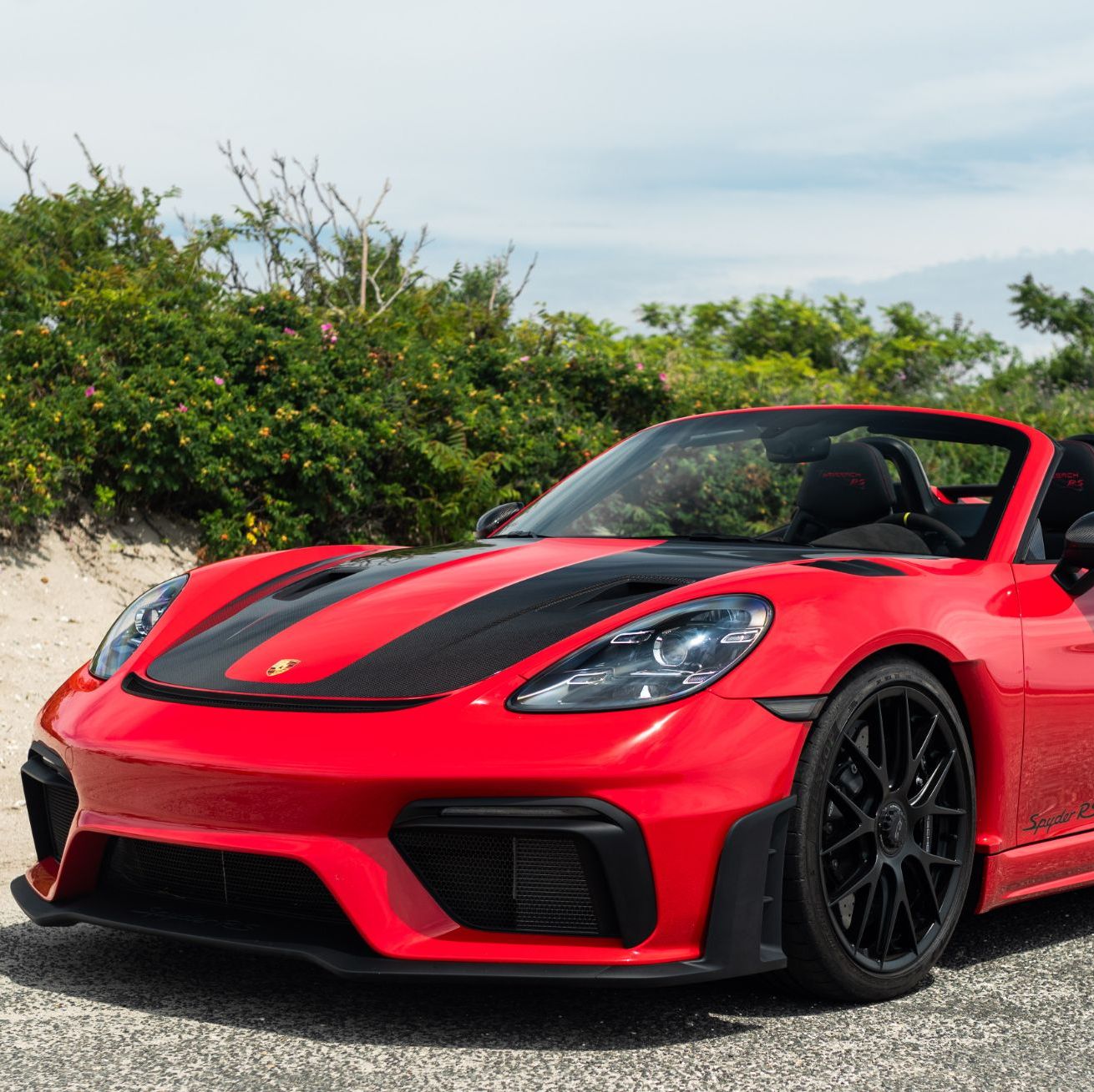 Profile of Steven Schoenfeld