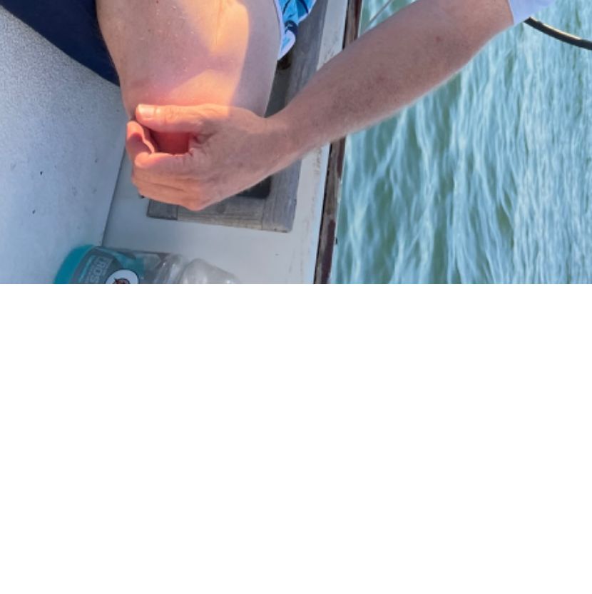 Profile of Nicolas Eckert