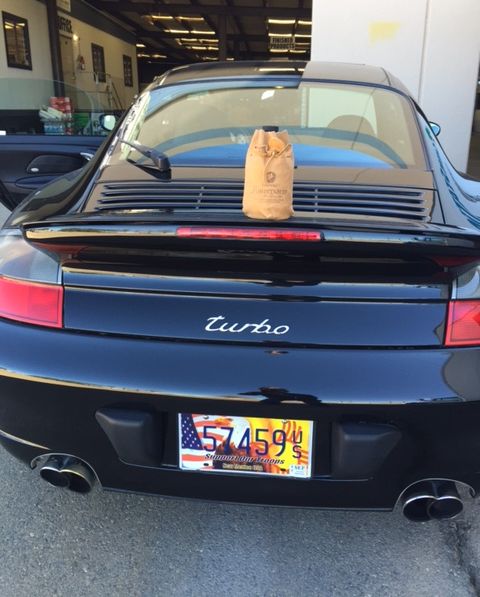 Profile of Marcos Paoli