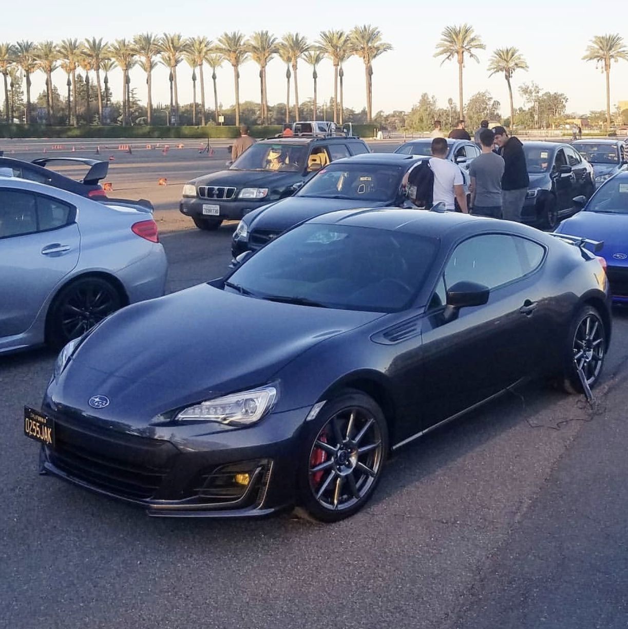 Profile of Steven Casado