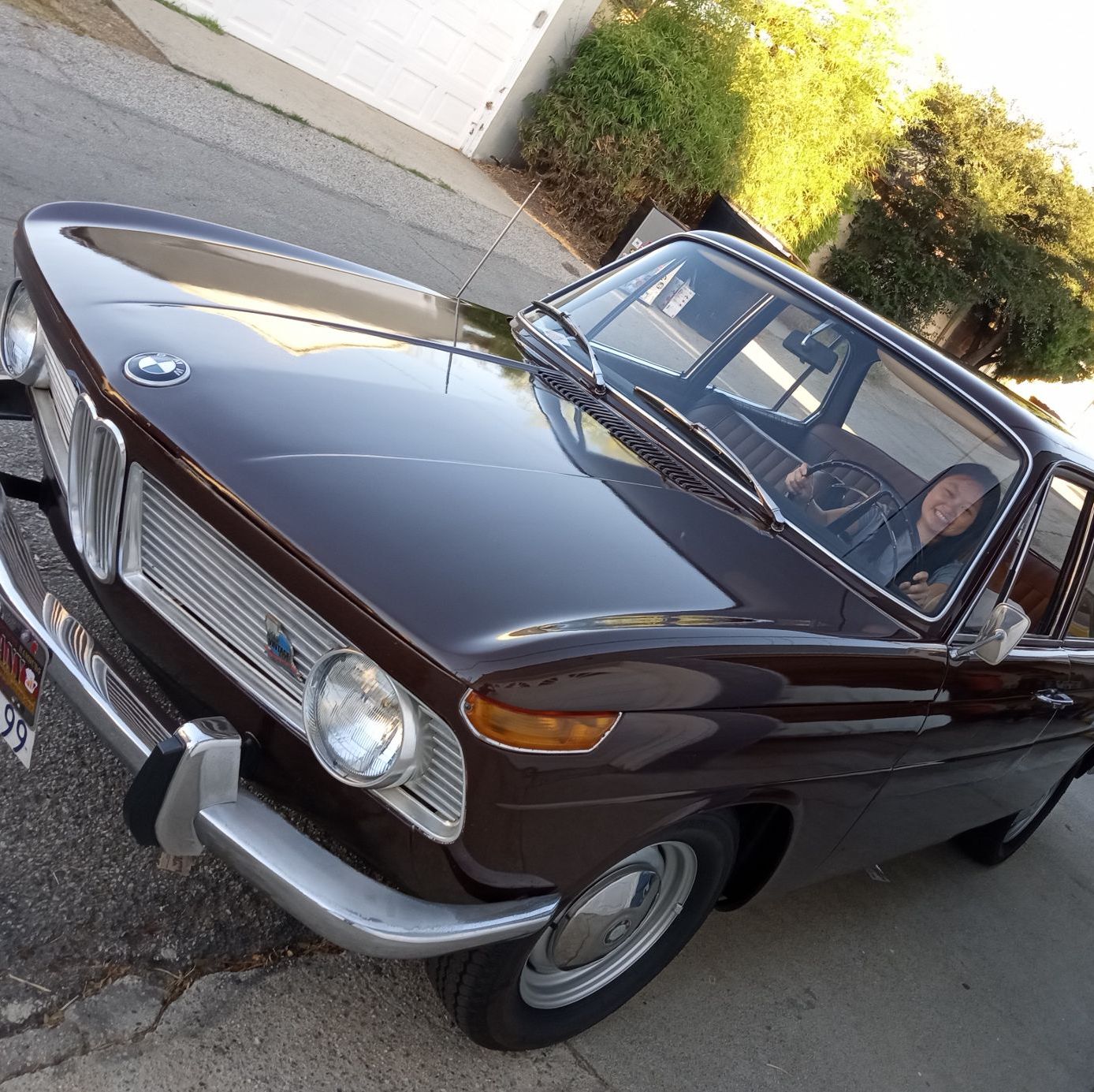 Profile of Hien Nguyen