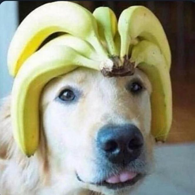 Profile of Christopher Lorenzo