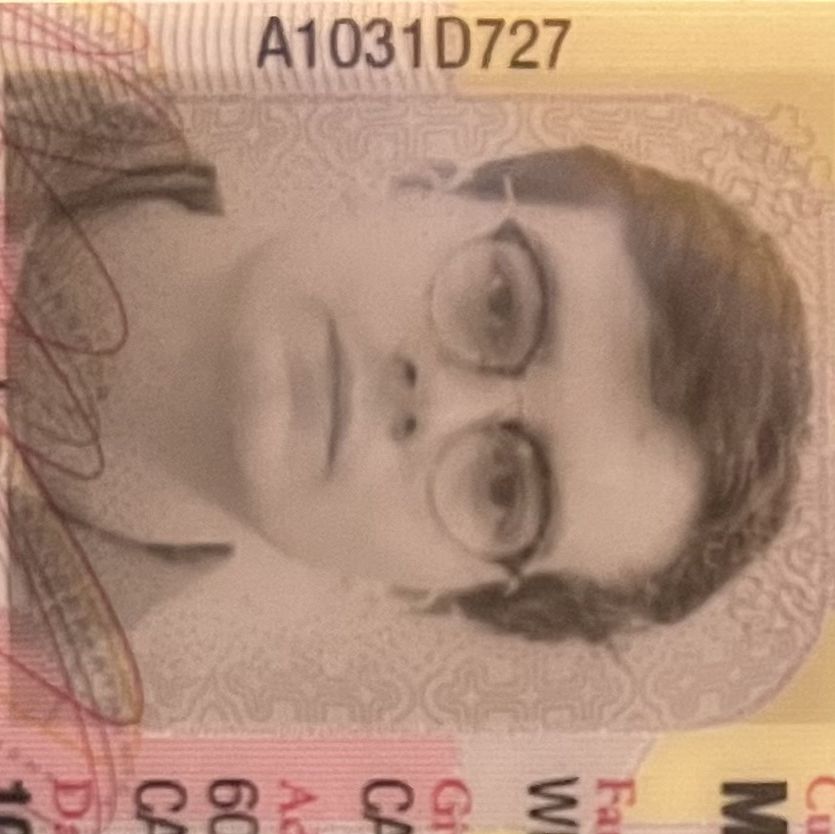 Profile of Caiden Wellington