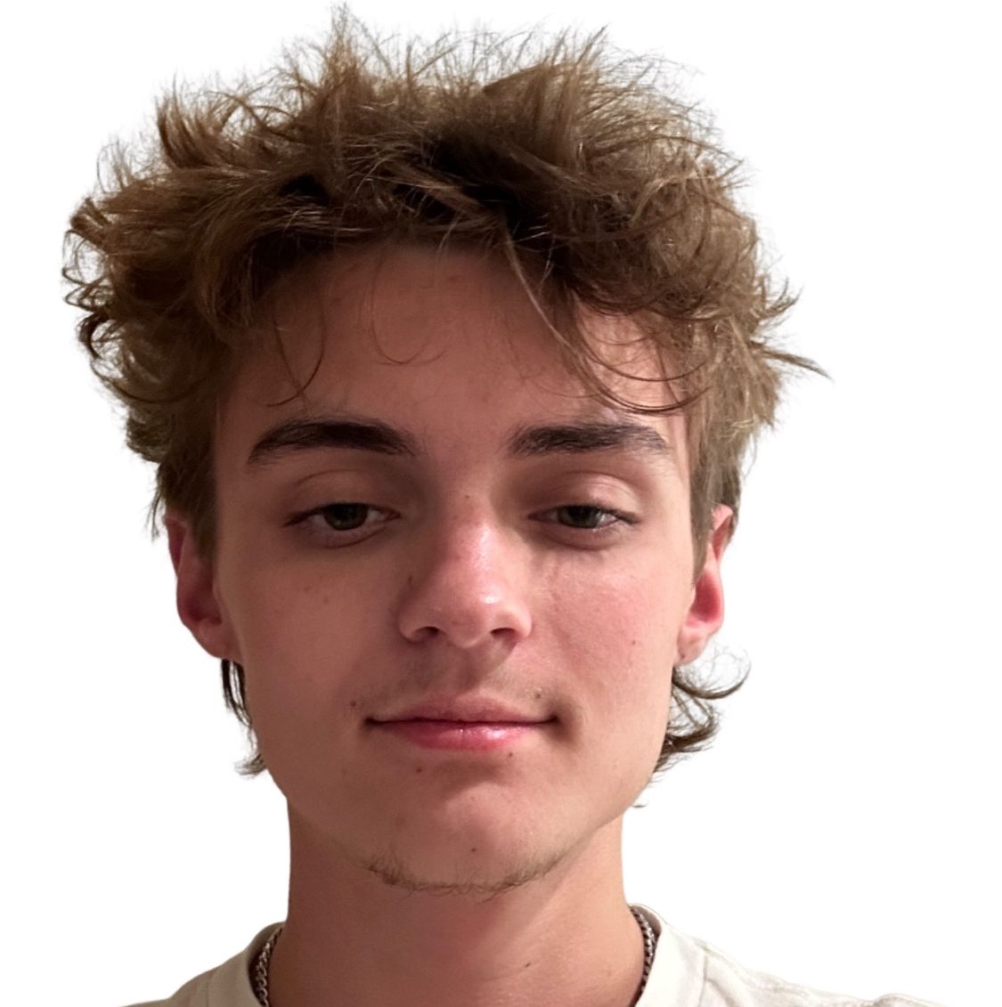 Profile of Austin Julsen