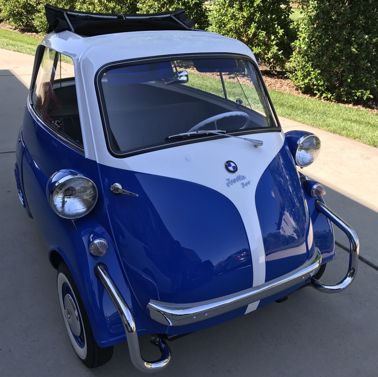 Profile of Andrew Panto