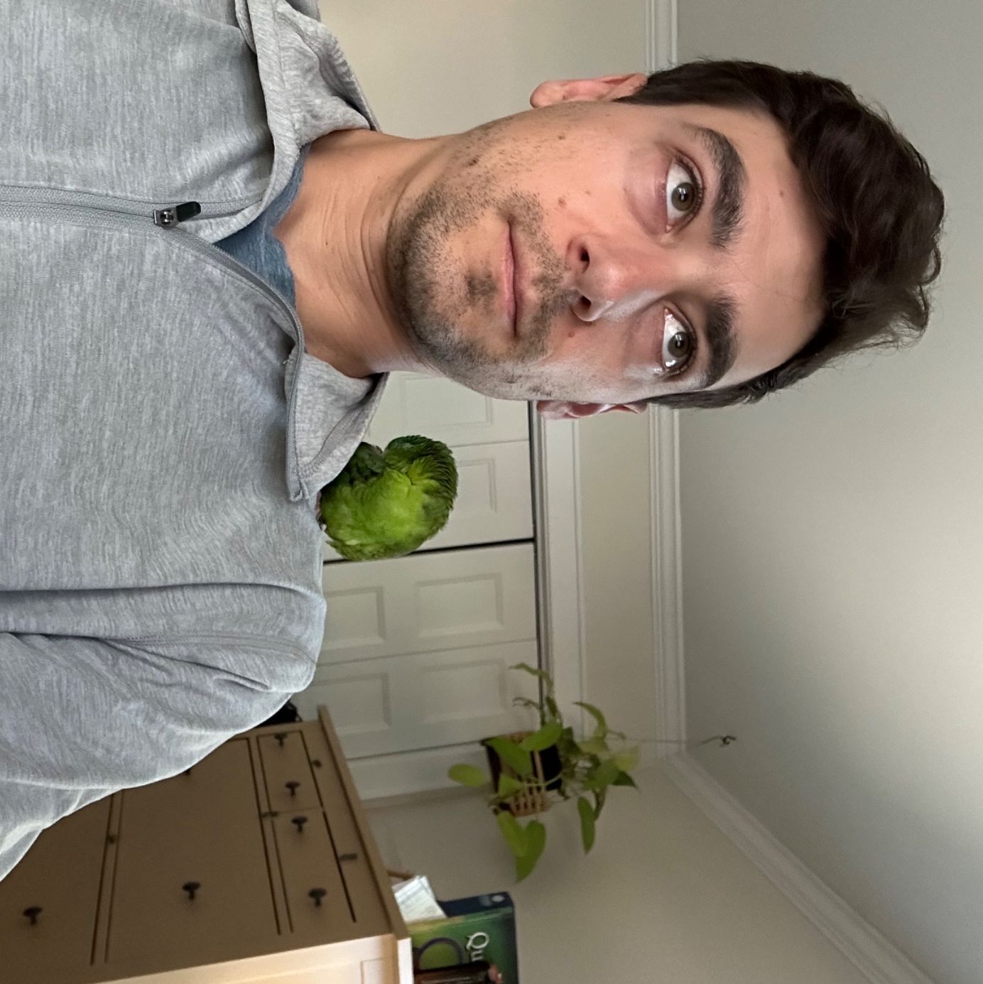 Profile of Peter Novellino