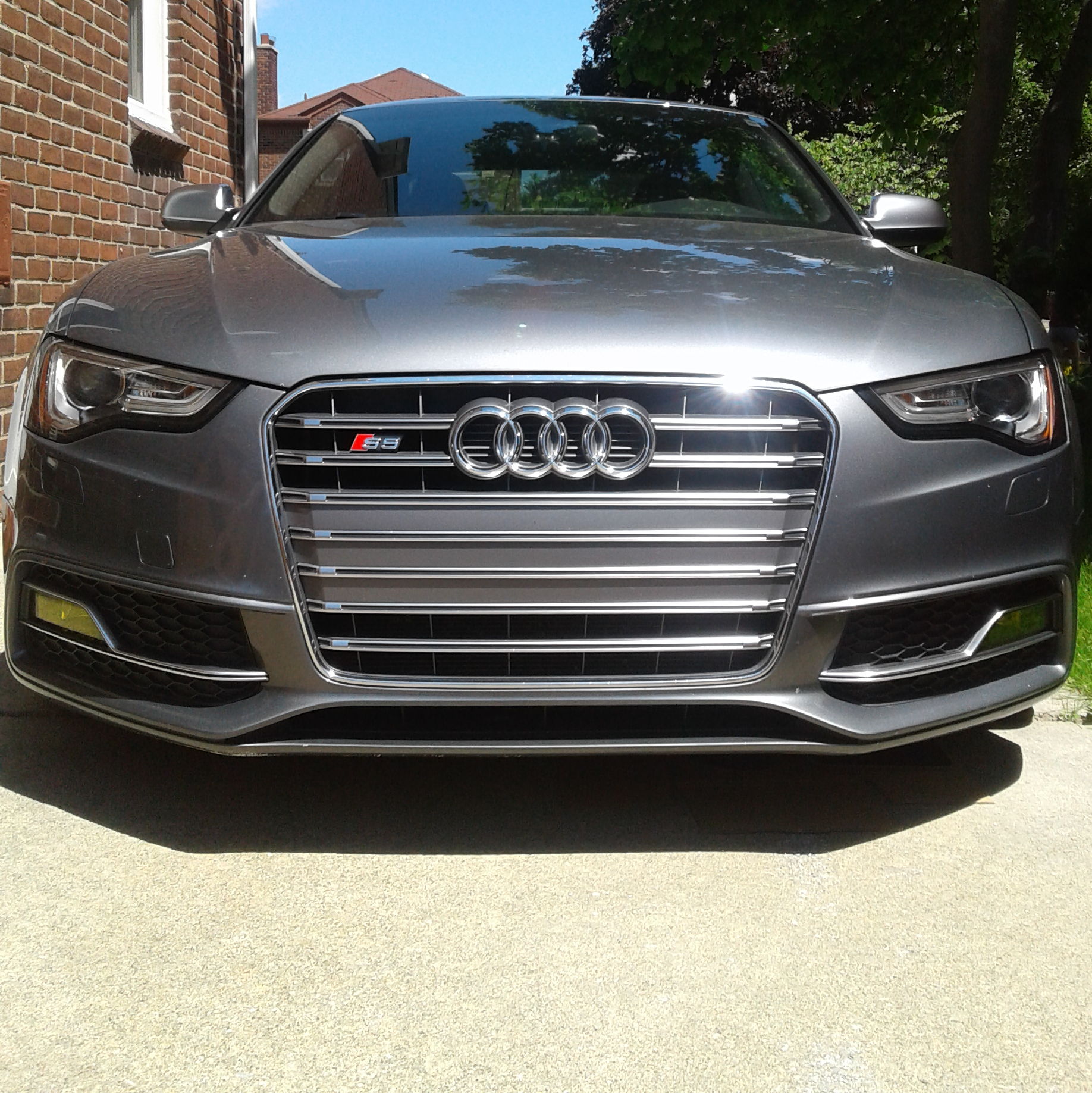 Profile of Mike Strasser