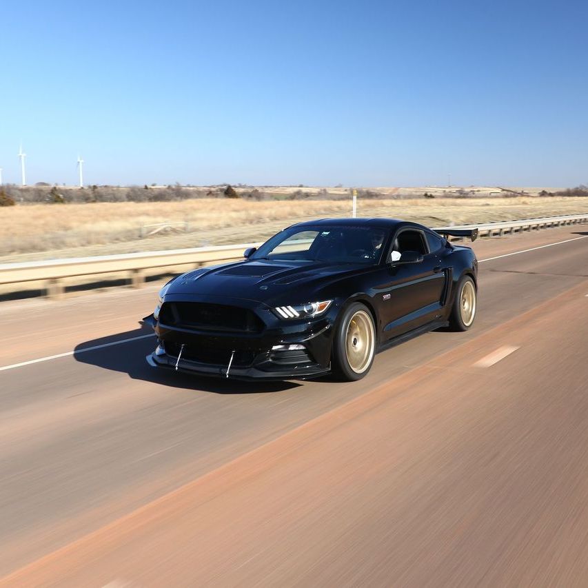 Profile of Daniel Higdon