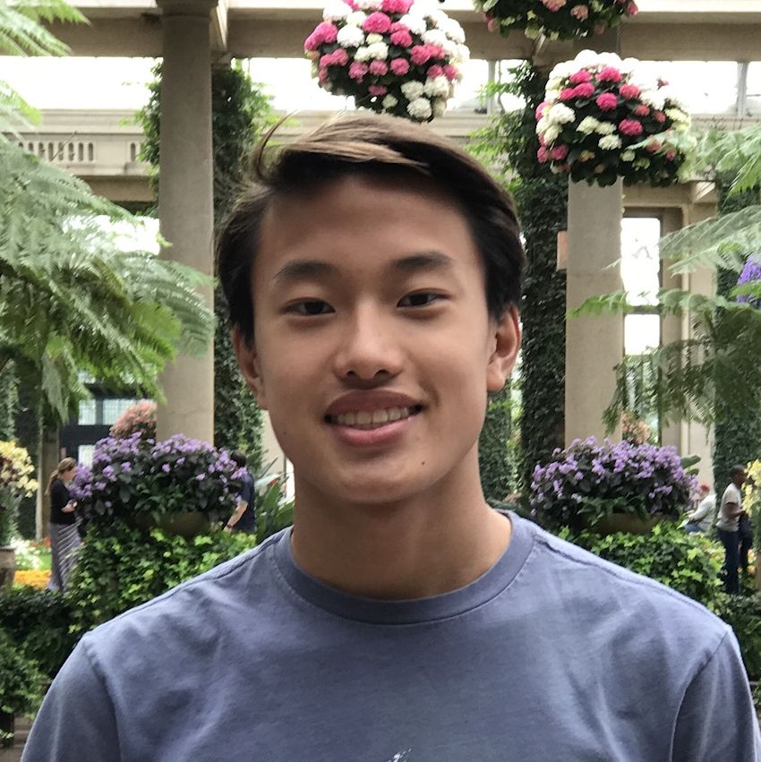 Profile of Ian Ramanata