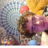 Profile of Casey Pate