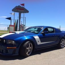 Profile of Kathrine Jongebloed