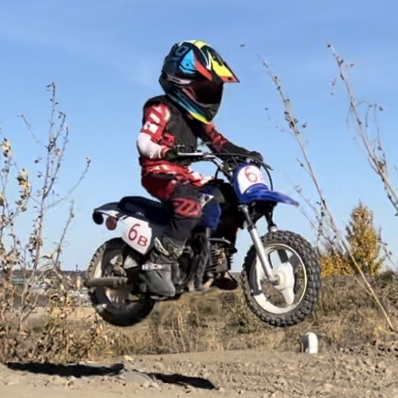 Profile of Tommy Walsh