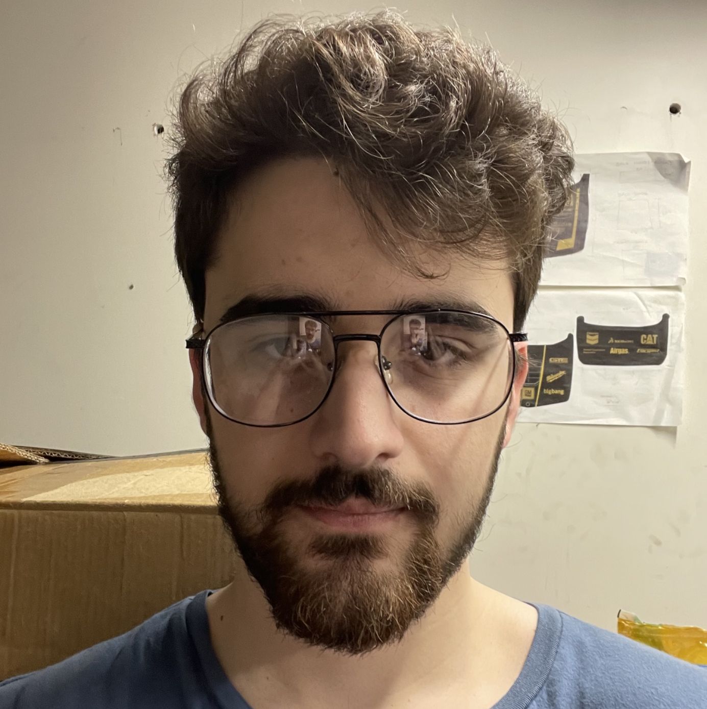 Profile of Sebastian Codrescu