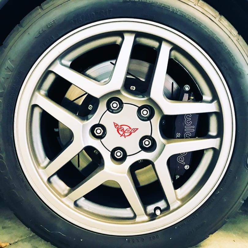 Profile of Amer Hameed