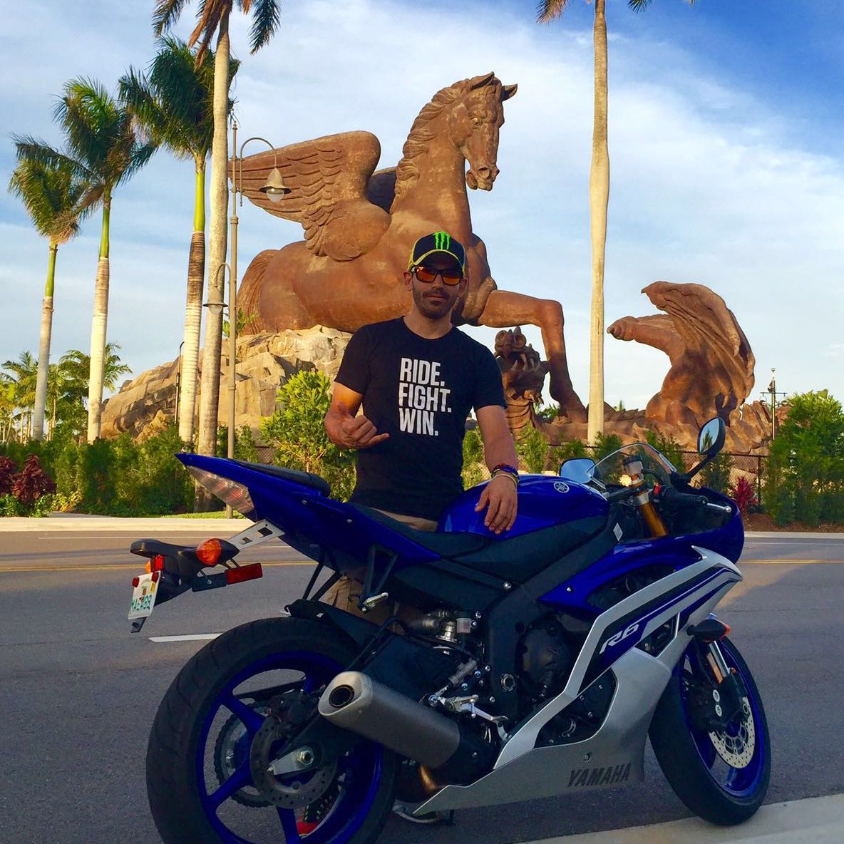 Profile of Tomas Navarro