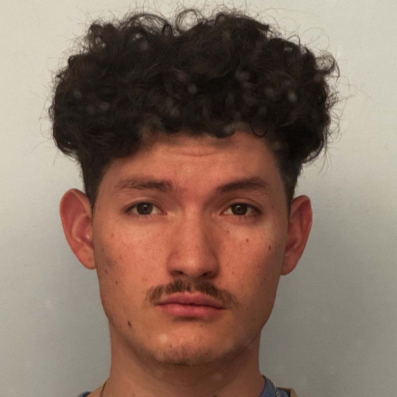 Profile of Luis Cole