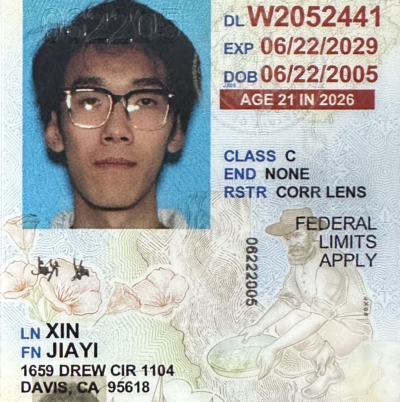 Profile of Jiayi Xin