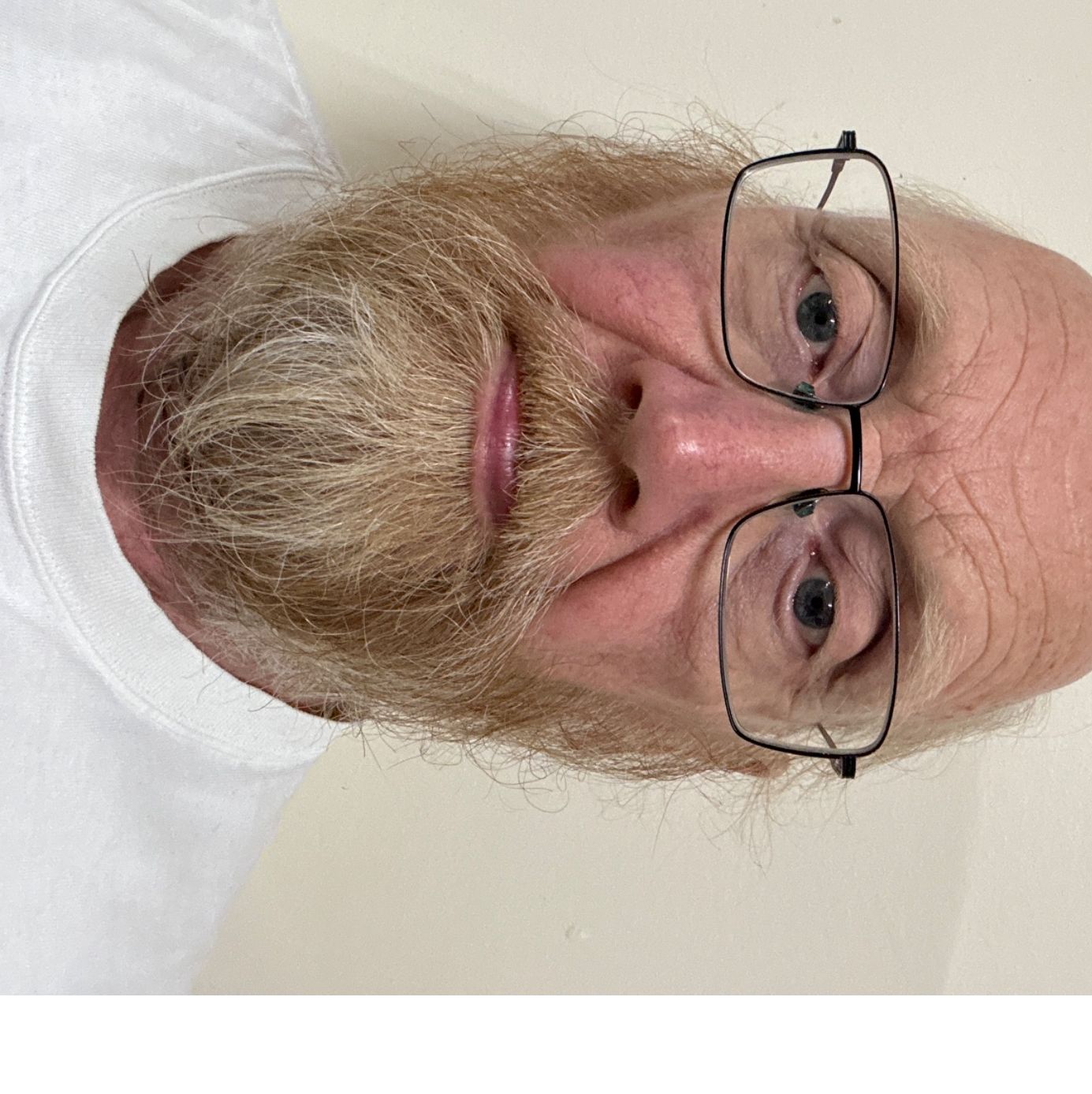 Profile of Paul Rowan