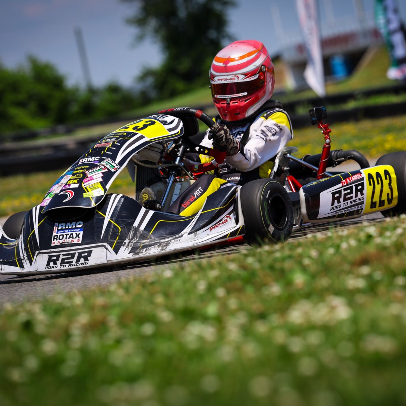 Profile of Ava Cabral