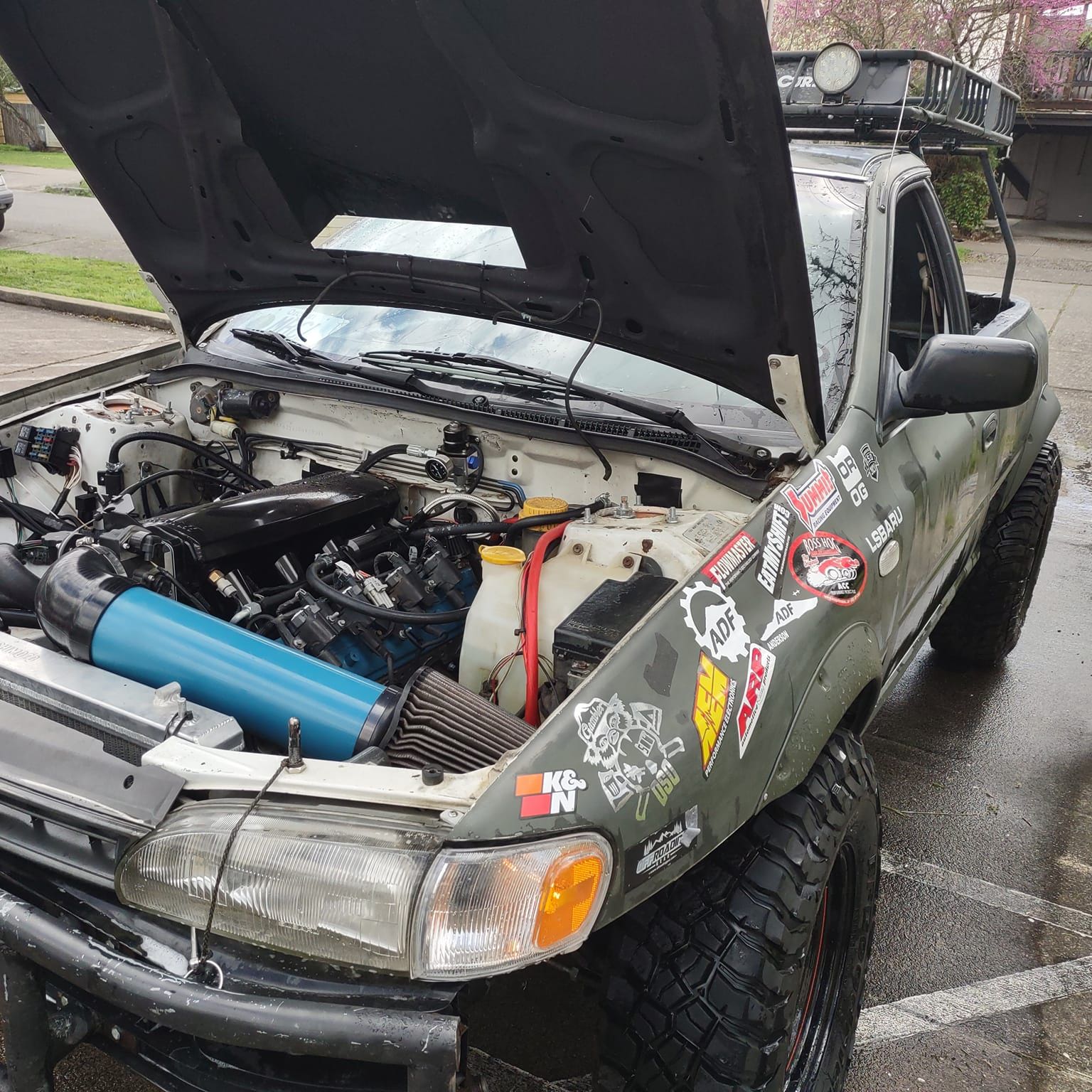 Profile of Jaime Williams