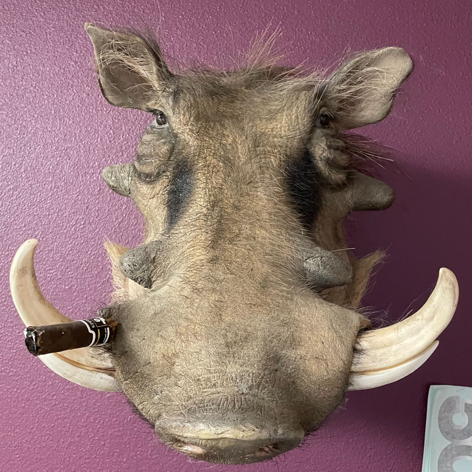 Profile of Jason Haussler