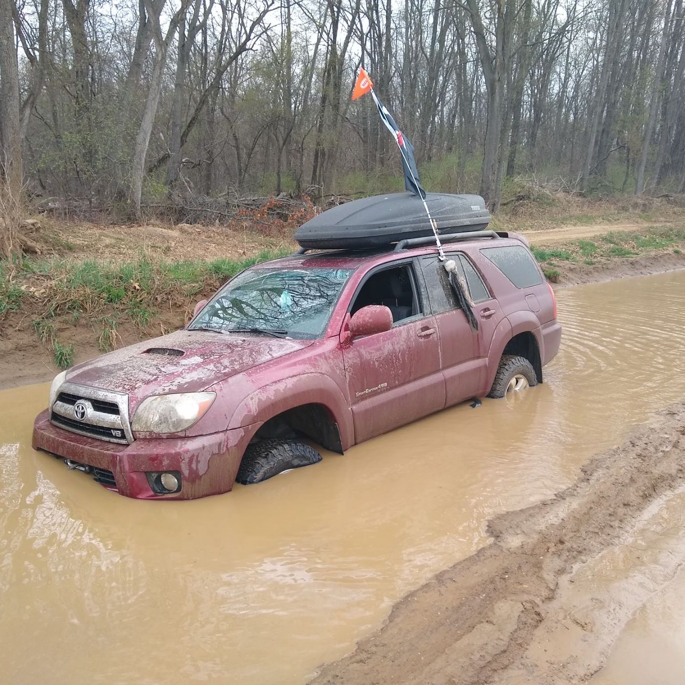 Profile of Shawn Amory