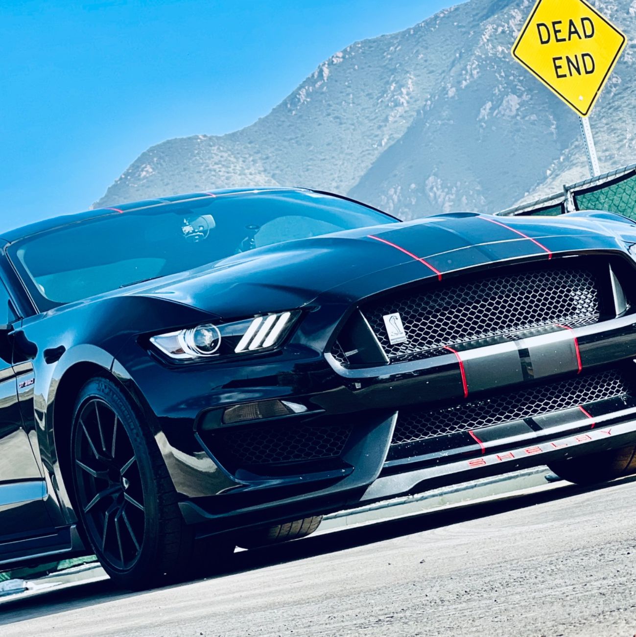 Profile of Brandon Hoekstra