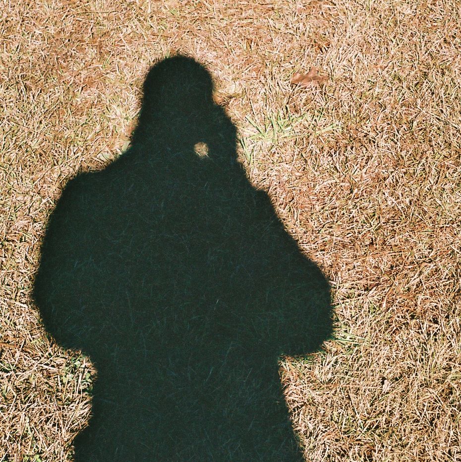 Profile of Kevin Bourne