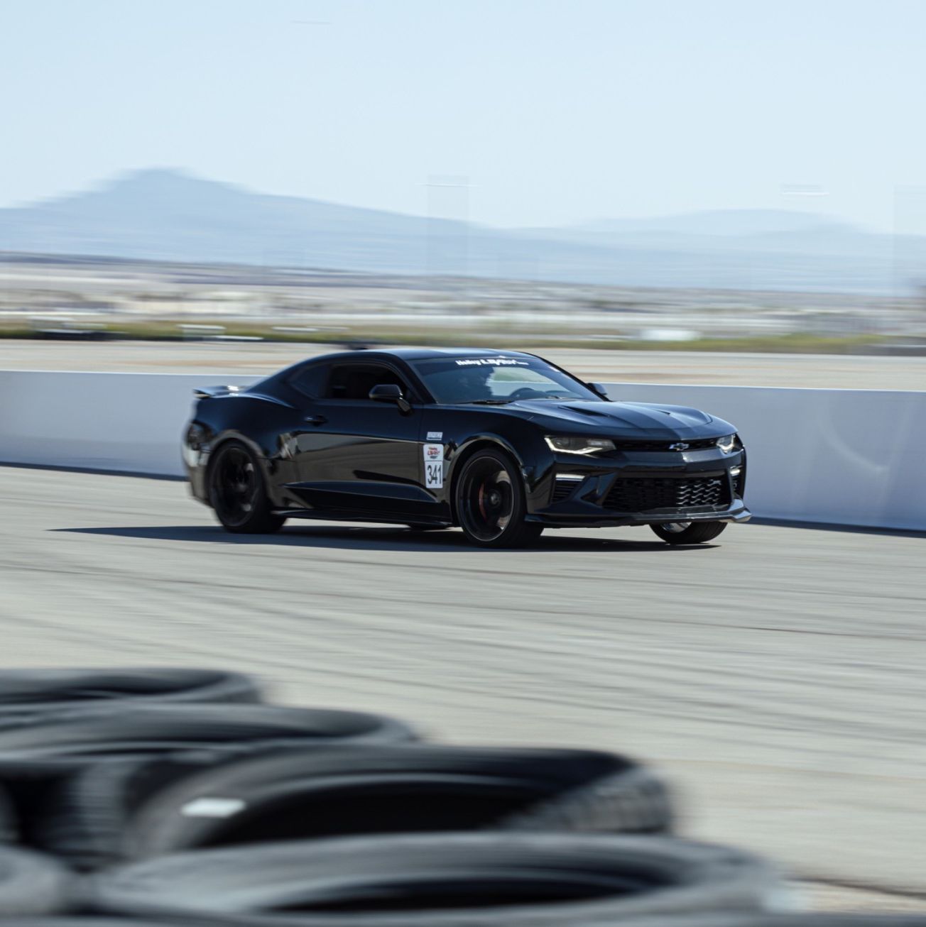 Profile of Nathan Stokes