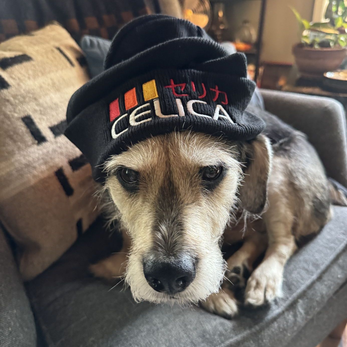 Profile of Paulo Dias