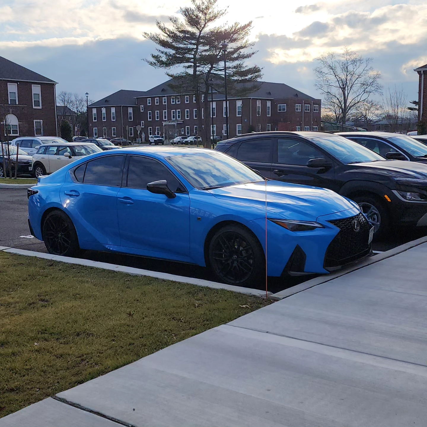 Profile of Edward Gorman