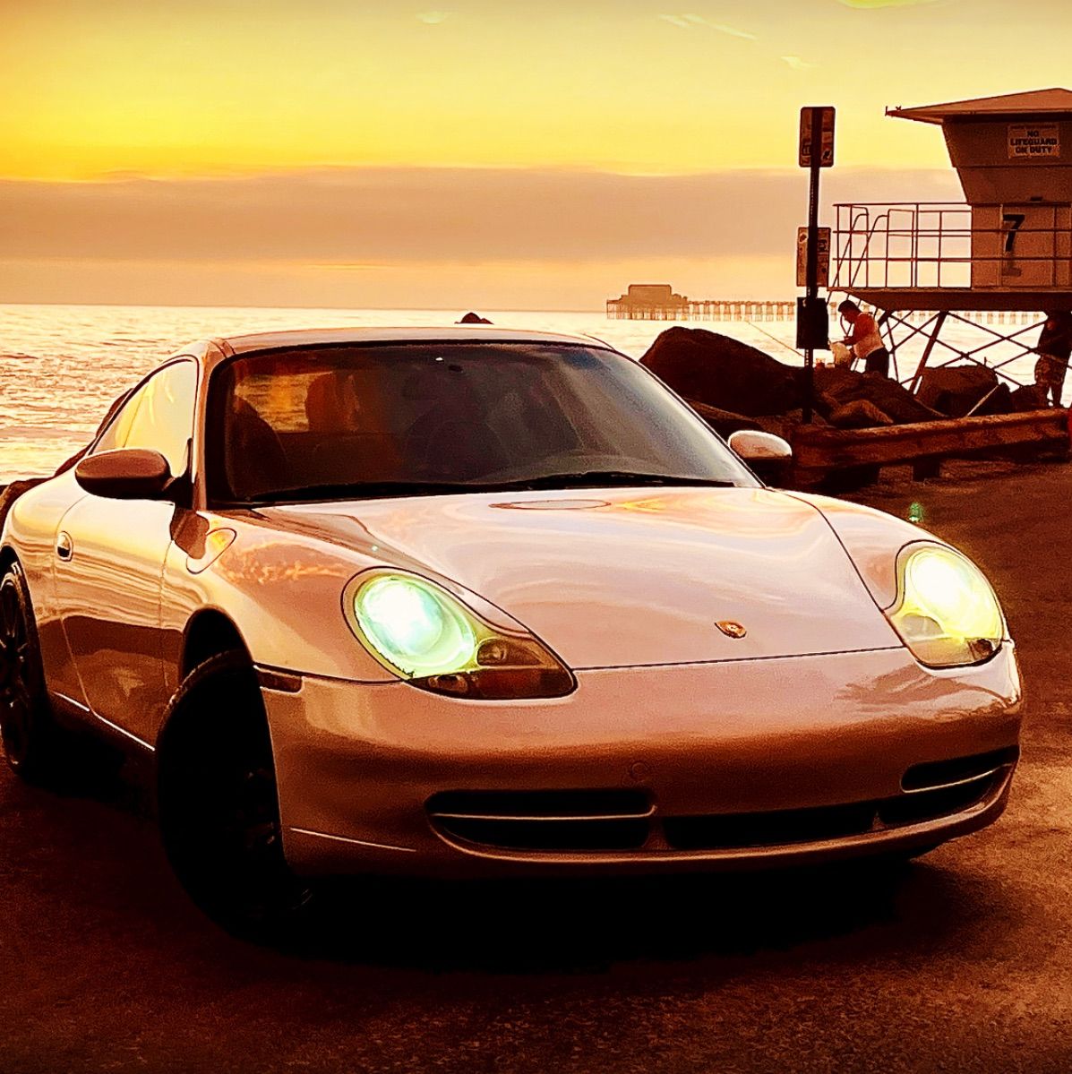 Profile of Fintan Roche