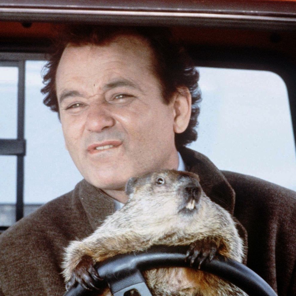 Profile of Keith Brown