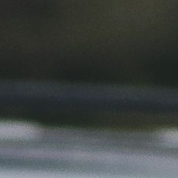 Profile of James Dwyer