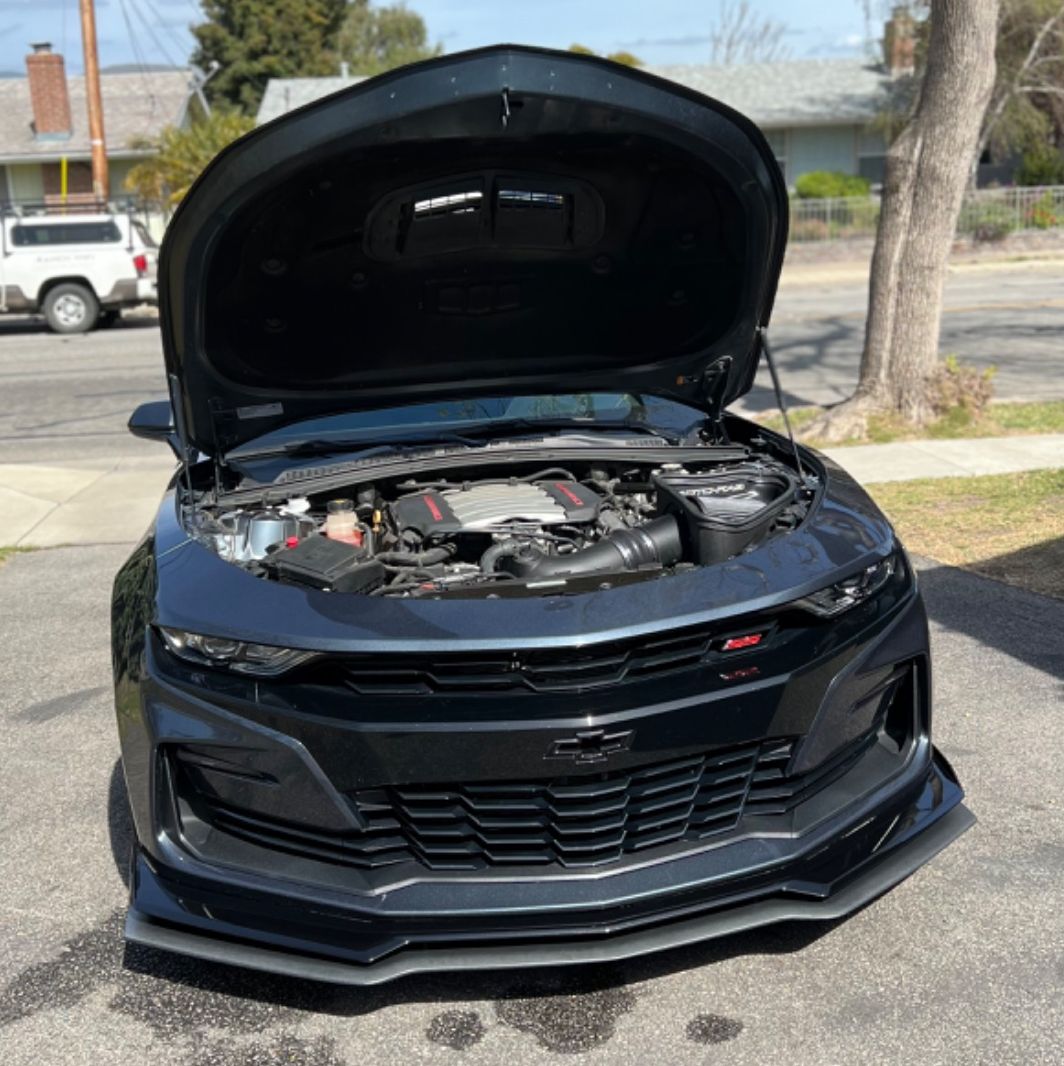 Profile of Ryder Sweaney