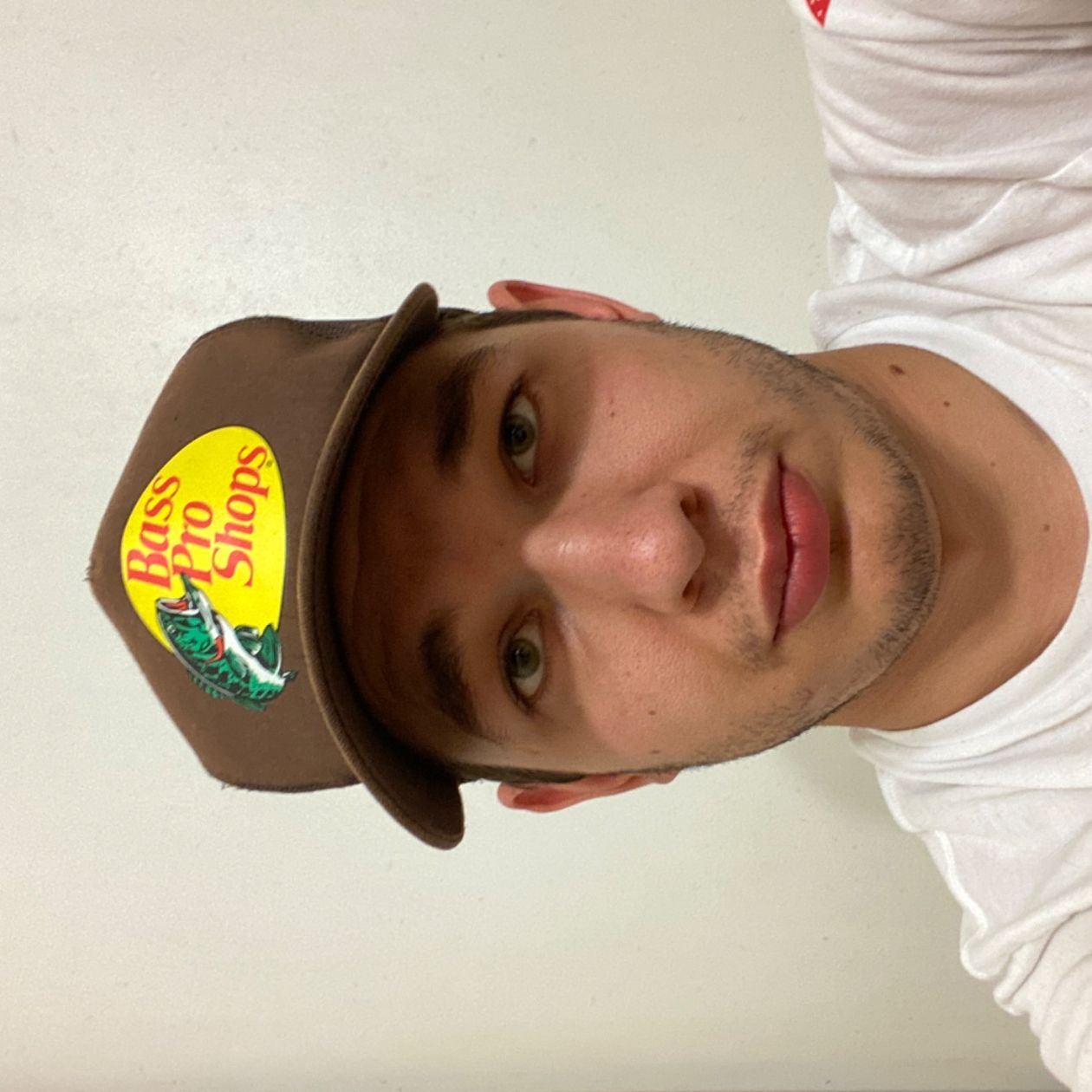 Profile of Alexander Lippassaar