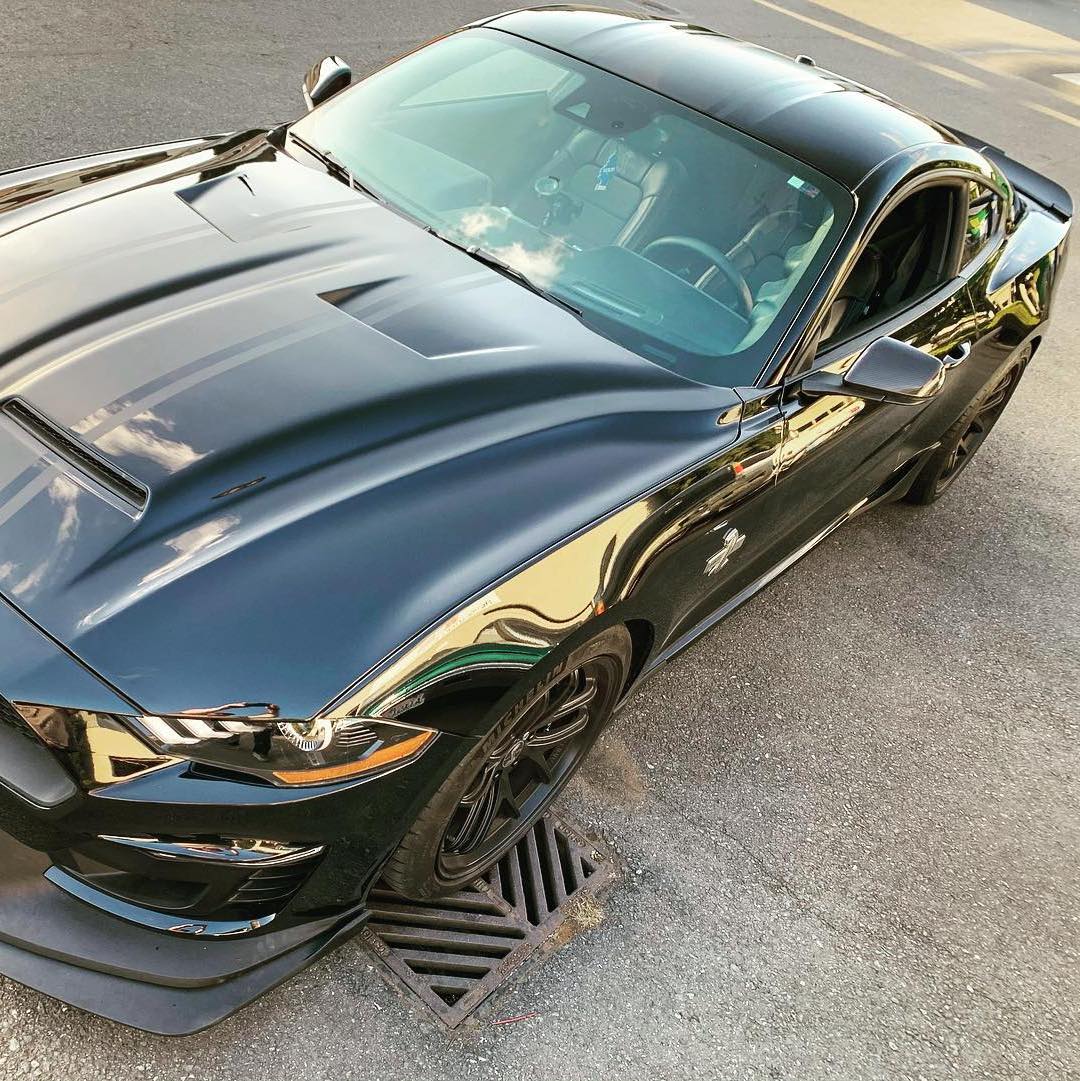 Profile of Dennis Molder