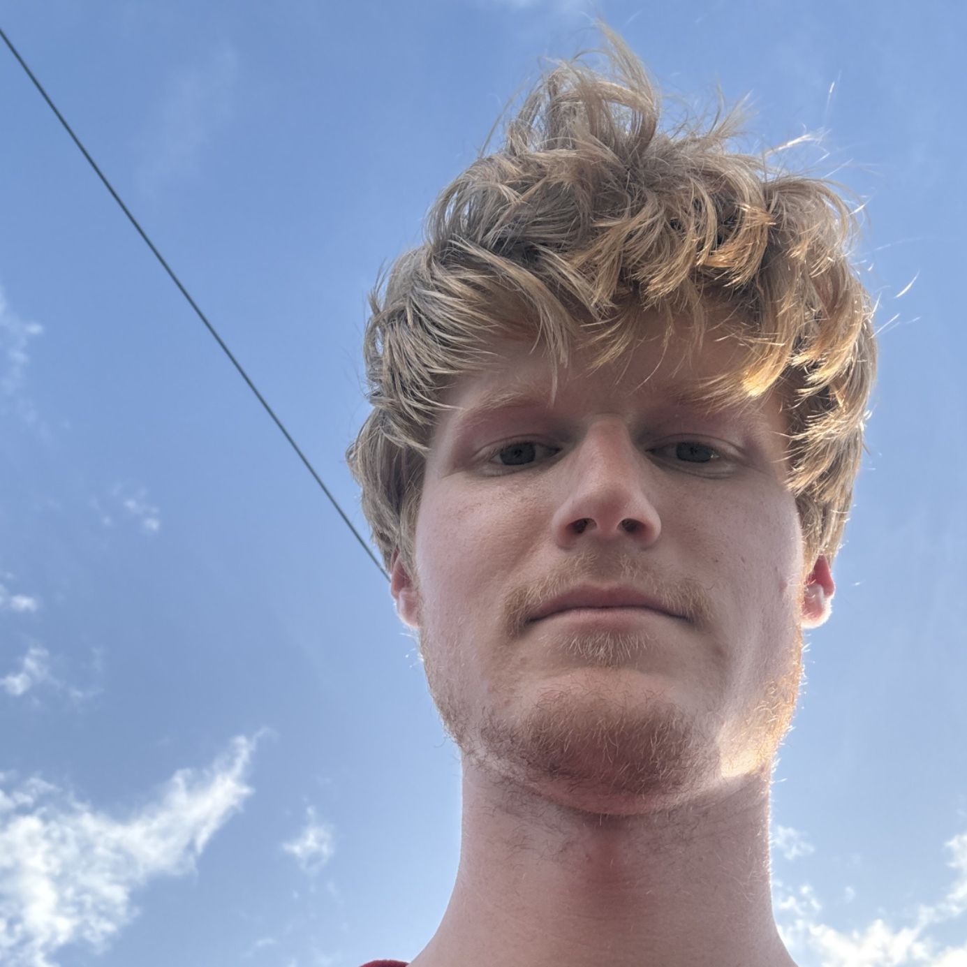 Profile of Avery LaGraize