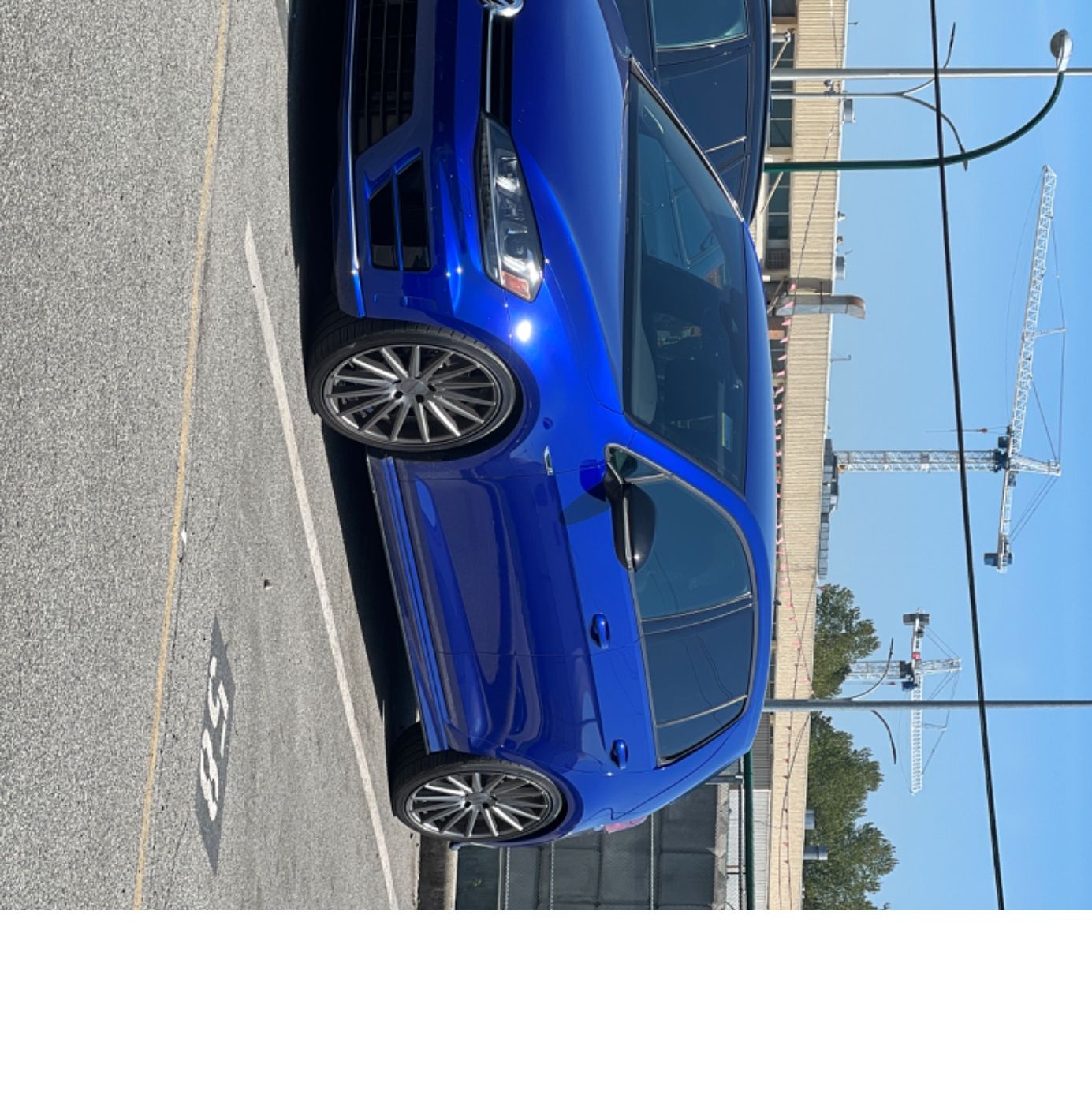 Profile of Daniel Pereminski