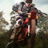 Profile of Joel White