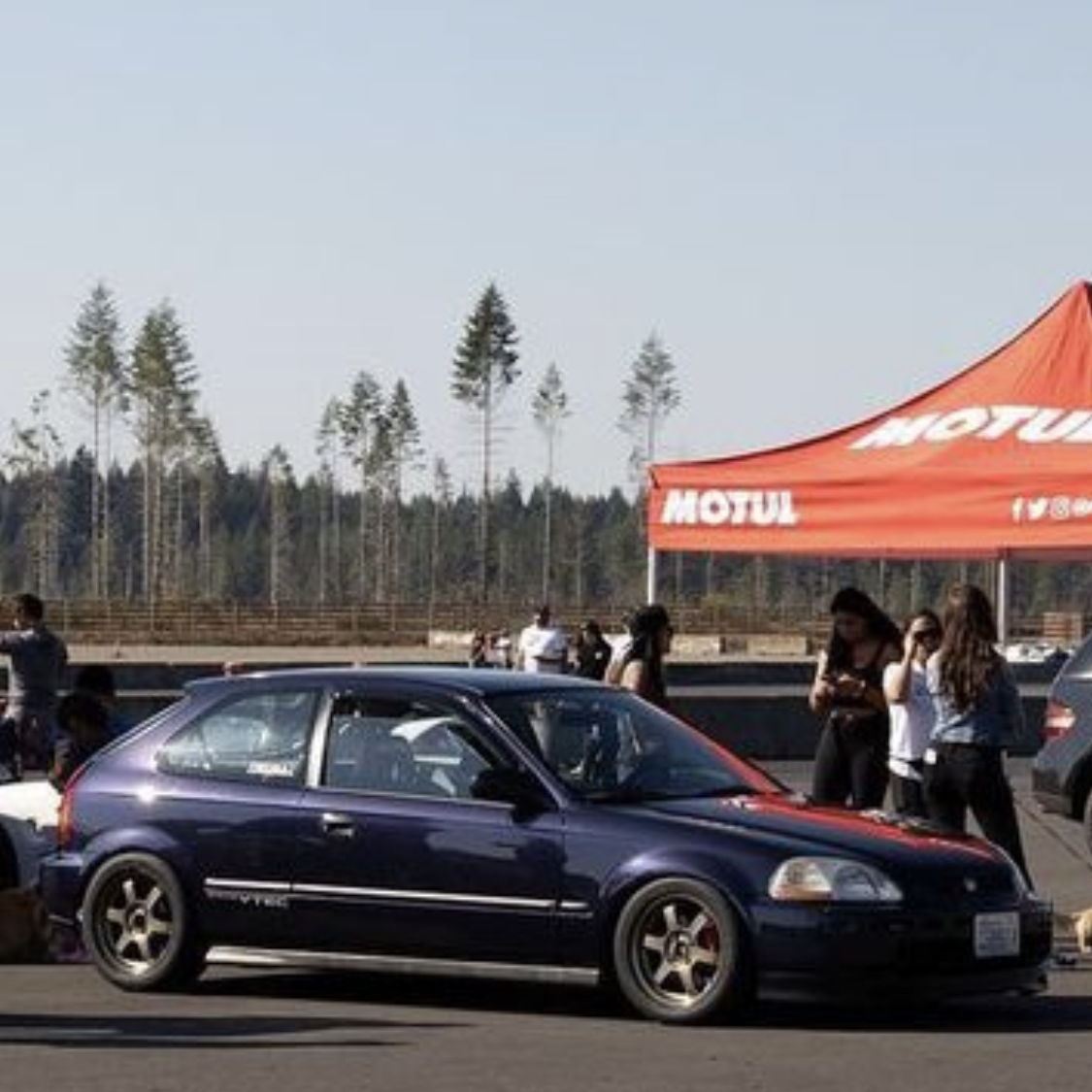 Profile of Frederick de Leon