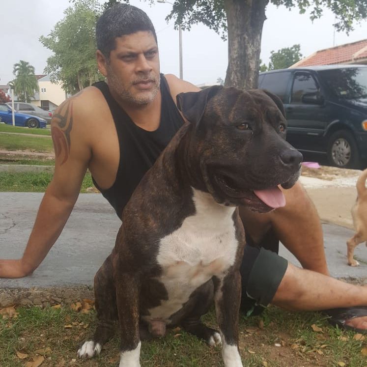 Profile of Ivan Garcia