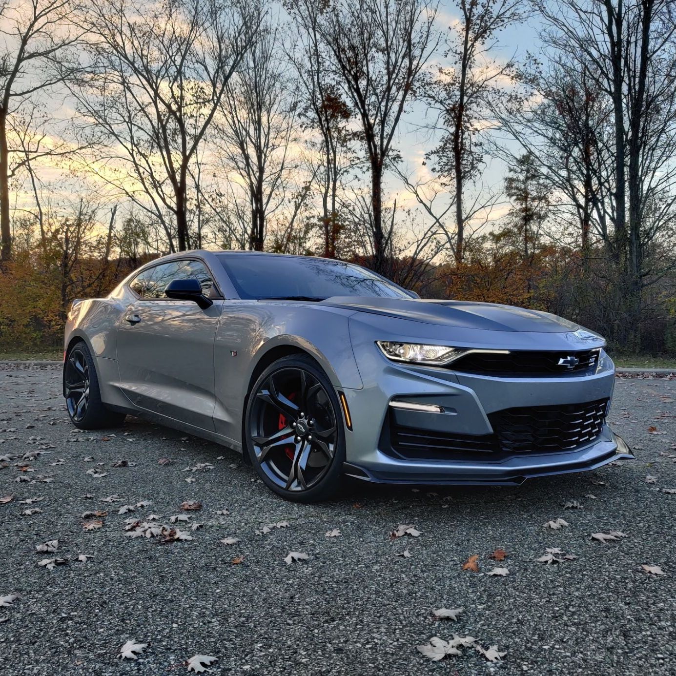 Profile of Matteo Robazza