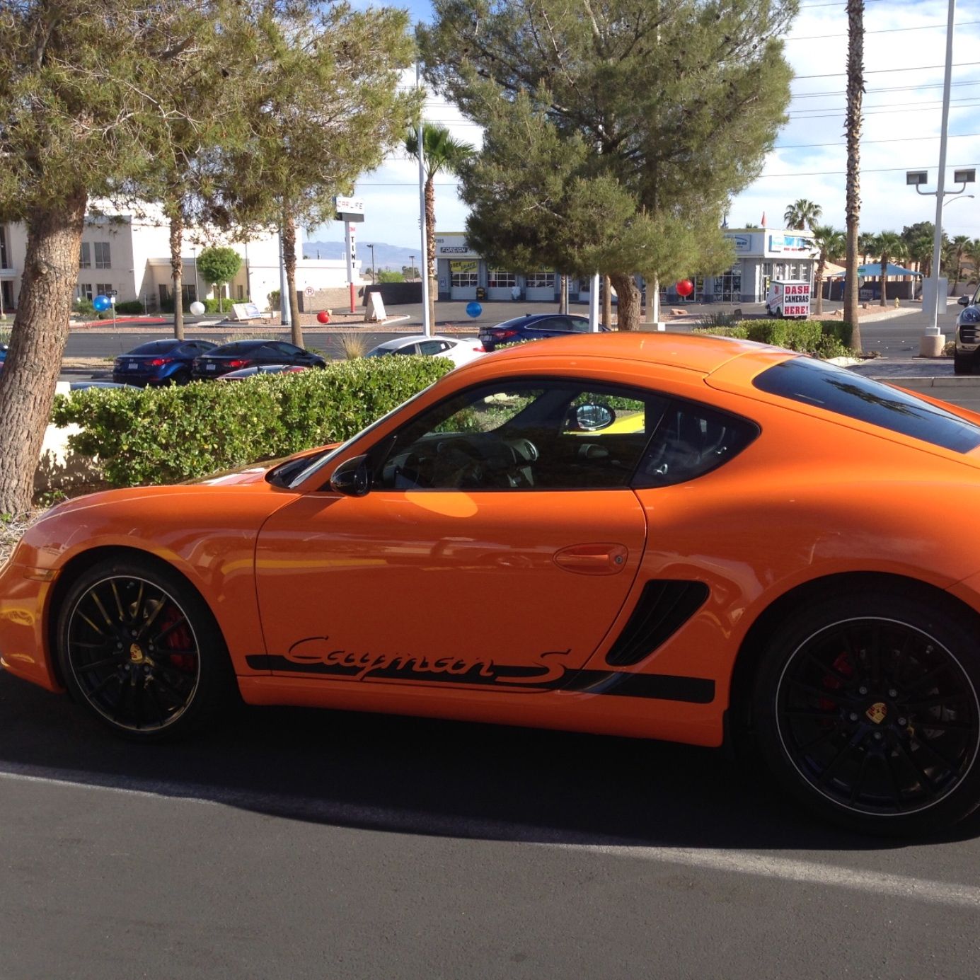 Profile of Denise Marcella